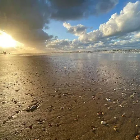 Lovely With Pool And Sea View * Koksijde