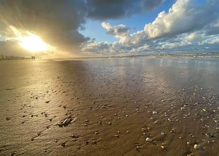 Lovely With Pool And Sea View * Koksijde